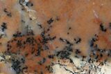 Polished Wanong Dendritic Opal Slab - Australia #96274-1